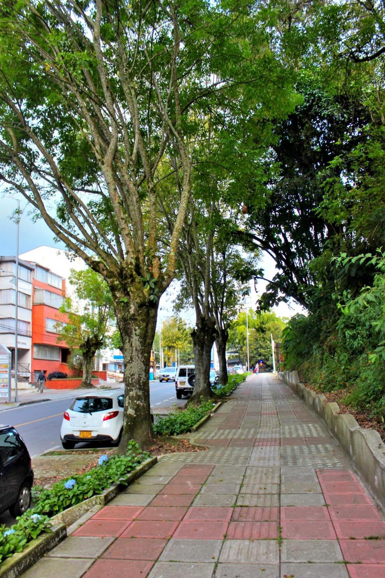 Apartment Hermoso Zona Rosa De Milan Manizales